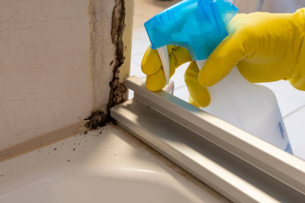 Best Residential Mold Remediation in Cross Plains, TX