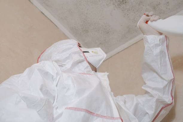 Best DIY Mold Remediation Support Services in Cross Plains, TX